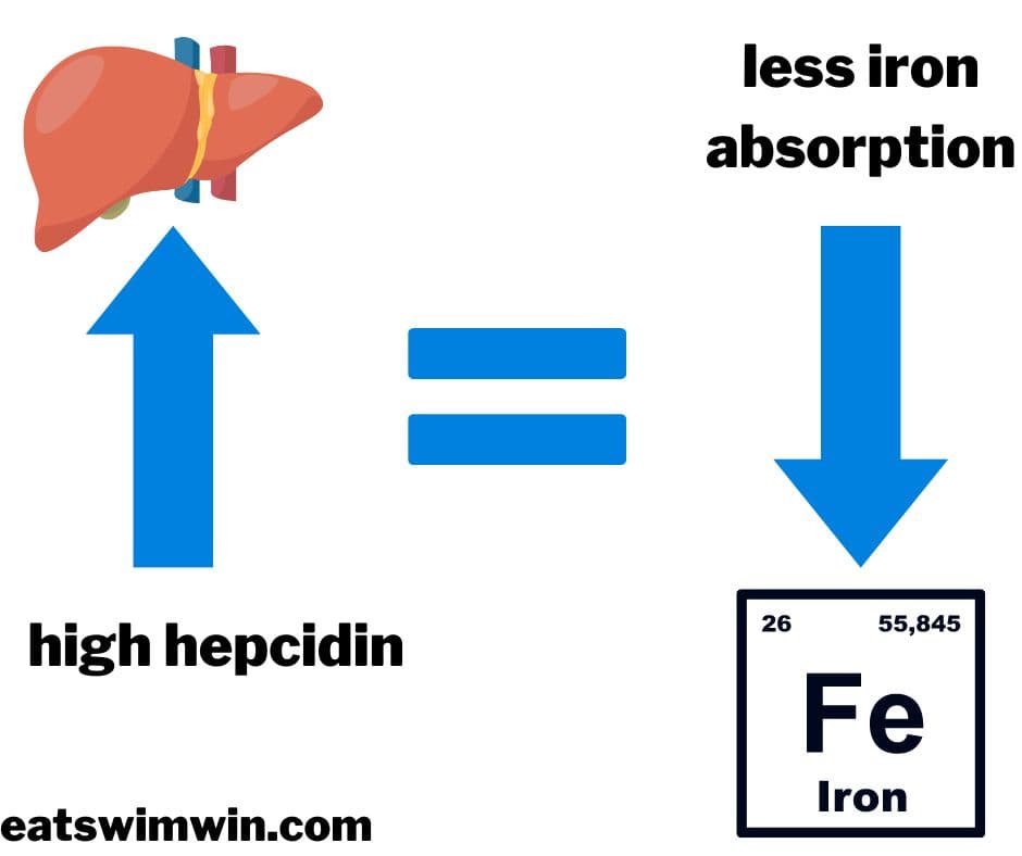 Read for tips on iron-rich foods for athletes! Learn how to boost iron absorption and create iron-rich meals to optimize sports performance. 
